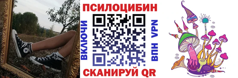 Купить закладки  Белёв  Псилоцибиновые грибы GOLDEN TEACHER 